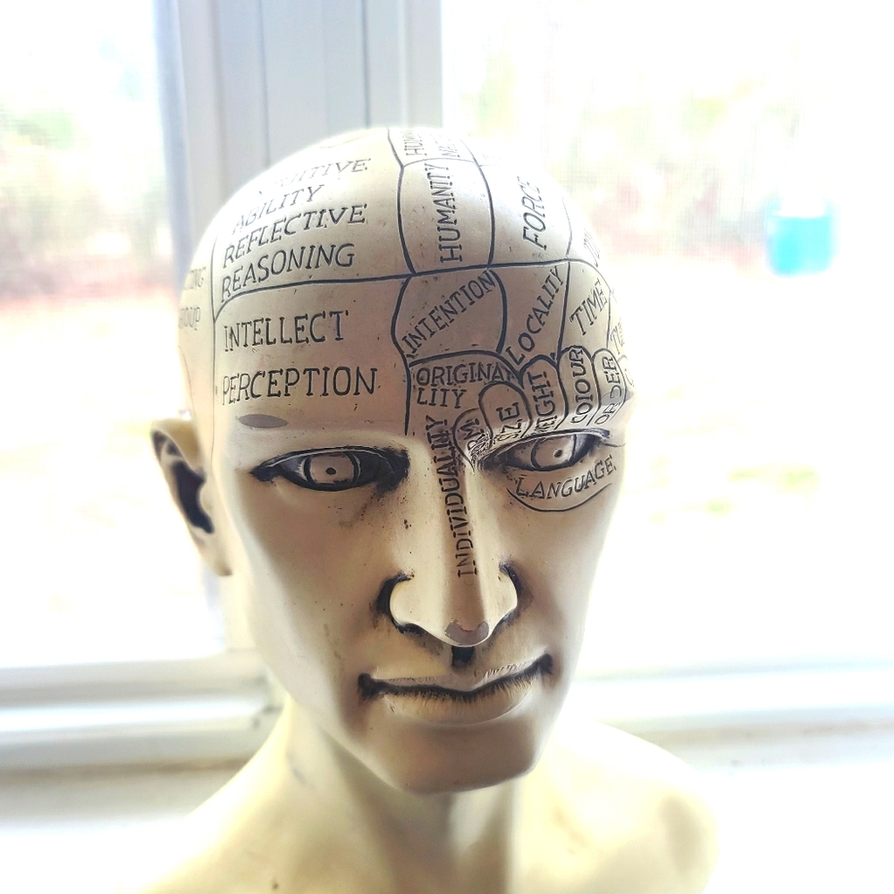 Phrenology head